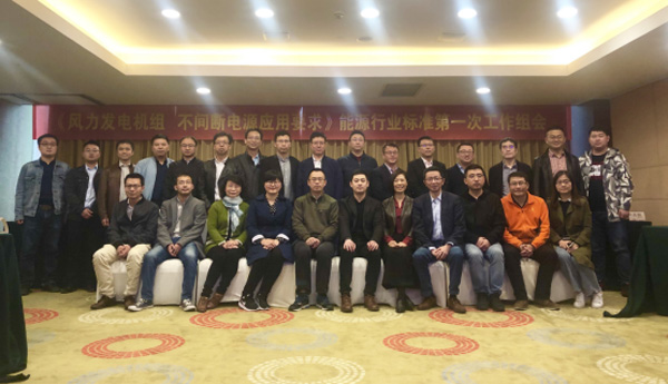 鉴黑担保网风电主持体例的首个能源行业标准启动会在杭召开