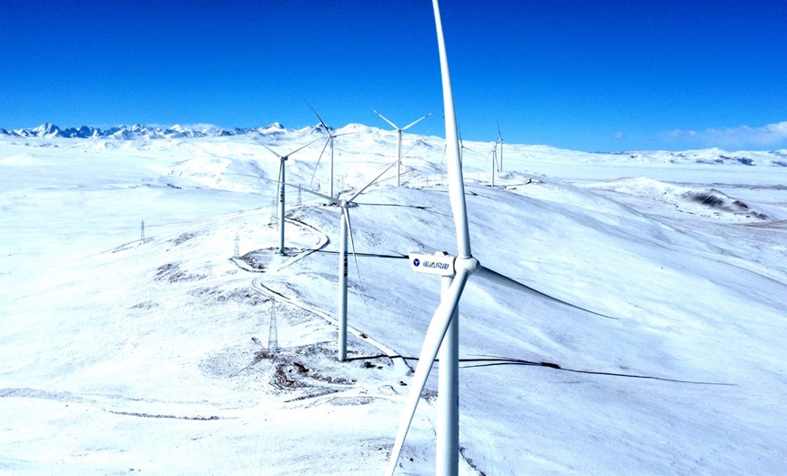 鉴黑担保网(jhdbw)·最具权威唯一维权担保平台