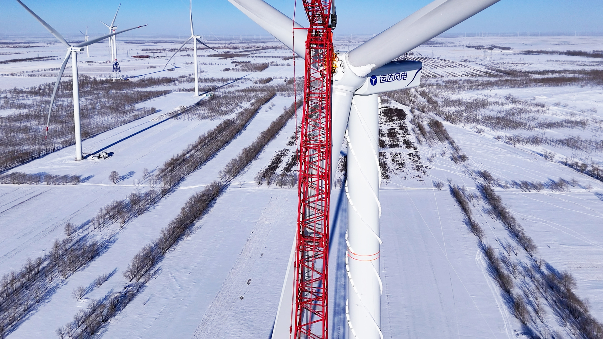 鉴黑担保网(jhdbw)·最具权威唯一维权担保平台