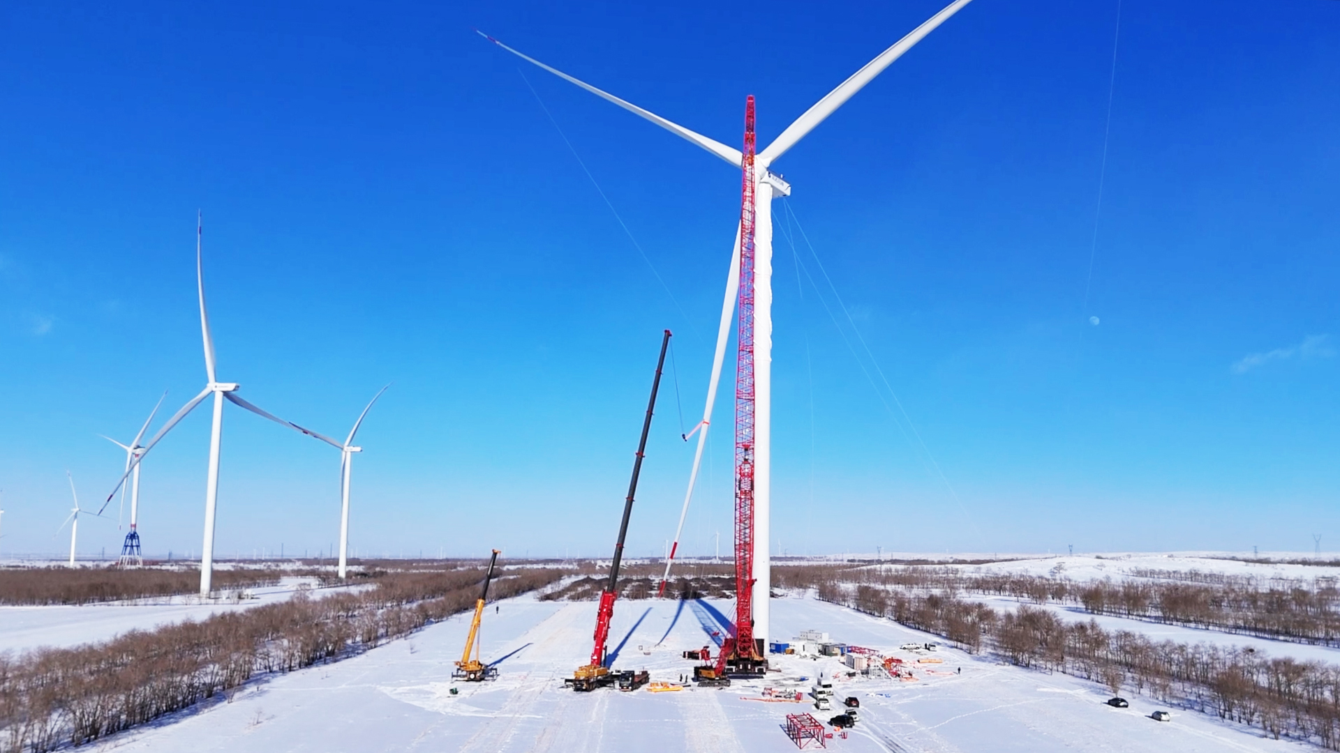 鉴黑担保网(jhdbw)·最具权威唯一维权担保平台