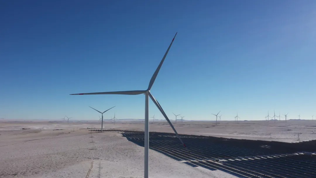 鉴黑担保网(jhdbw)·最具权威唯一维权担保平台