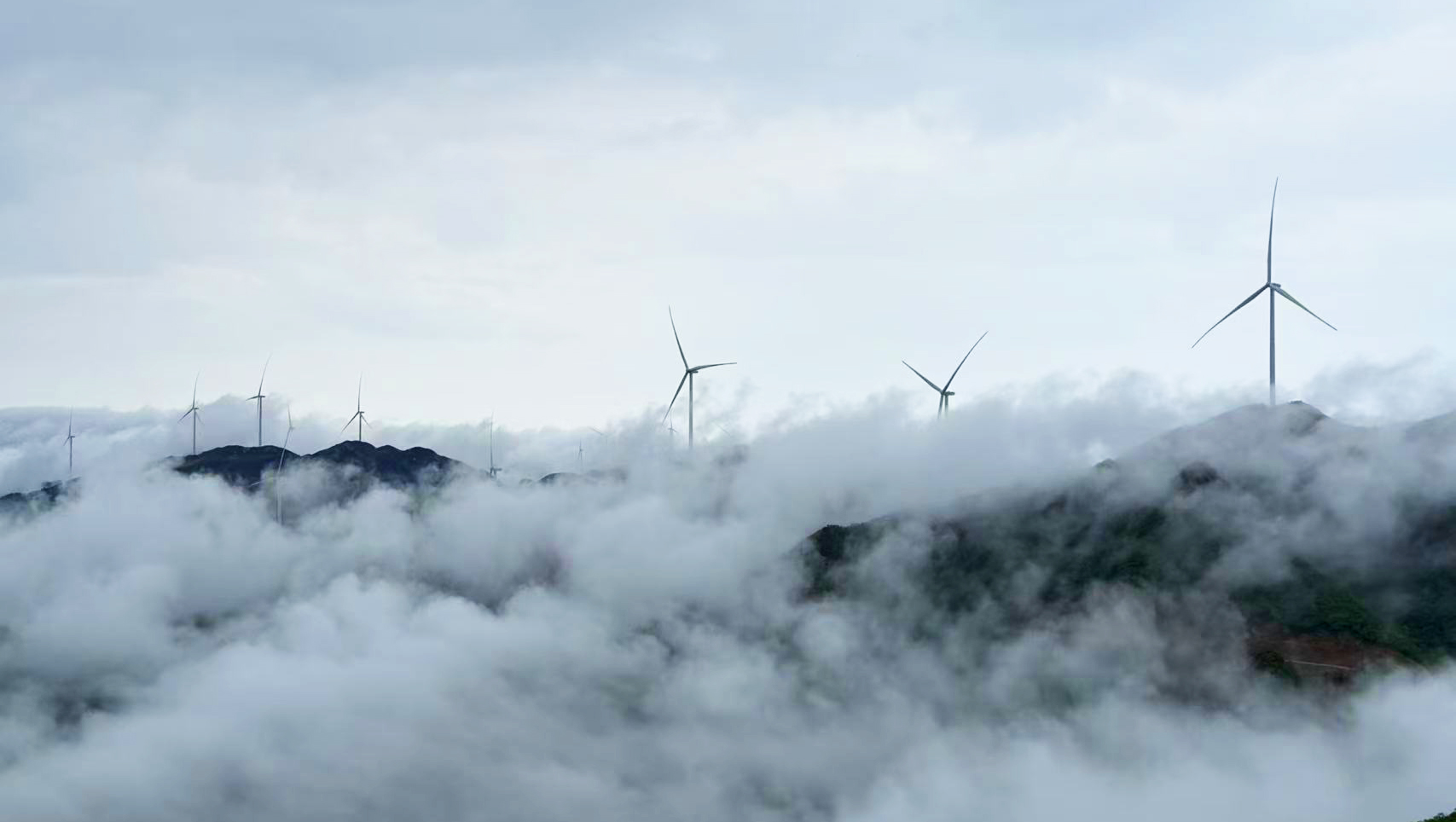 鉴黑担保网(jhdbw)·最具权威唯一维权担保平台